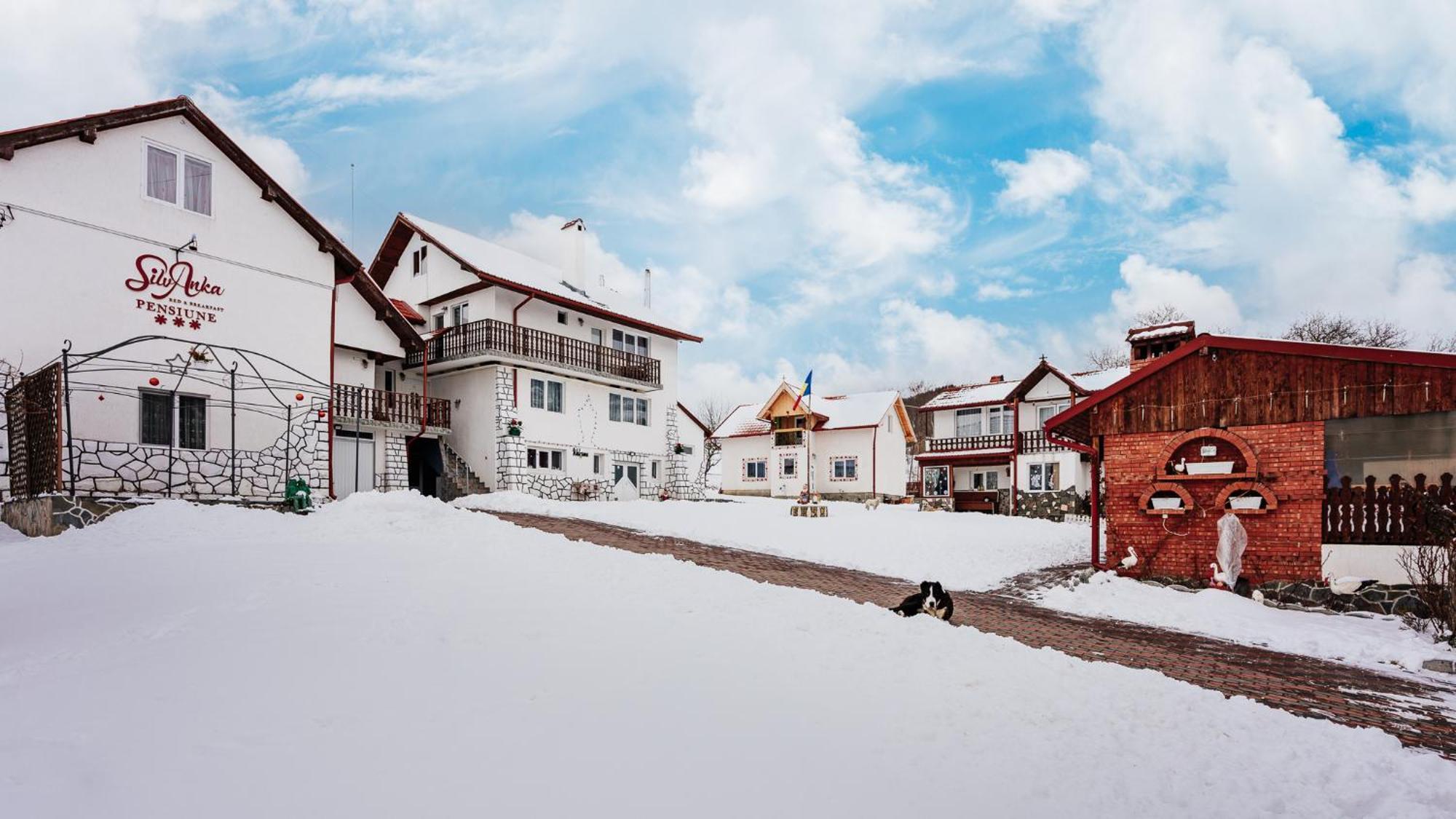 Casuta Cu Flori Hotel Vilcele  Exterior photo